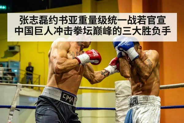 heavyweight boxing match